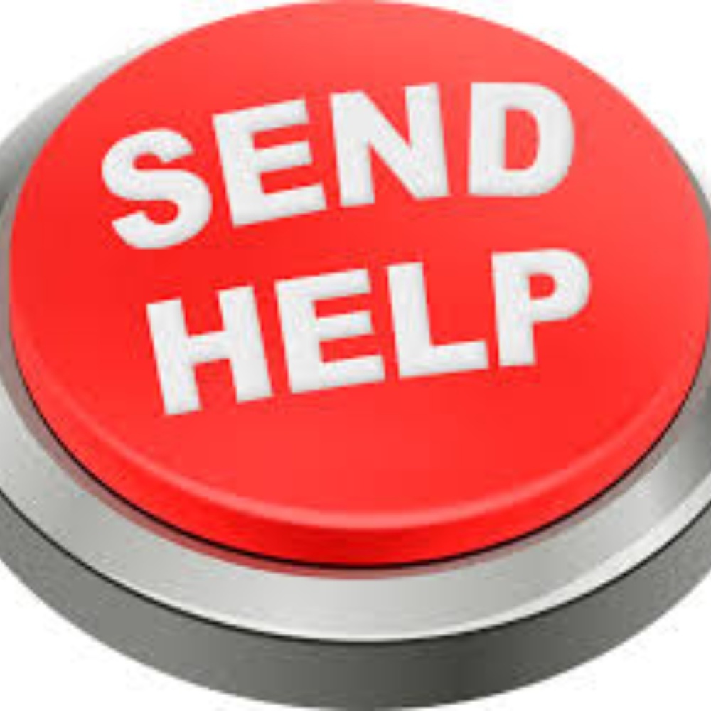 SEND HELP!!!! My First Follow Game - Picture 3 of 4
